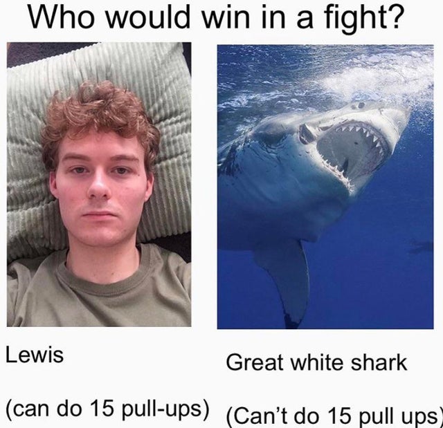 jaw - Who would win in a fight? Lewis Great white shark can do 15 pullups Can't do 15 pull ups