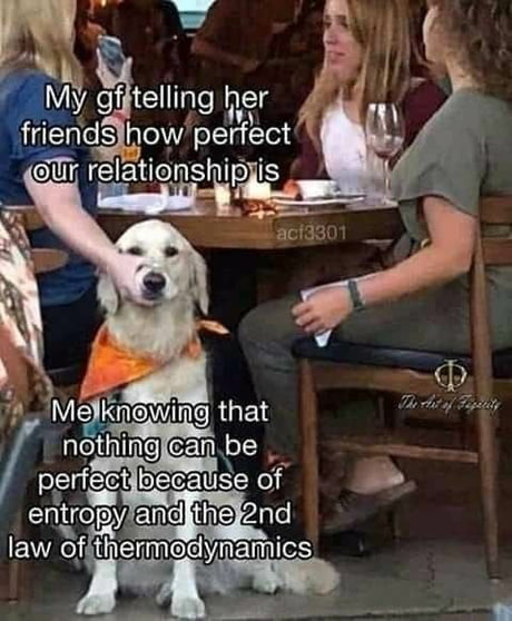 woman holding dog's mouth shut meme template - My gf telling her friends how perfect our relationship is aci3301 The aty Tepellity Me knowing that nothing can be perfect because of entropy and the 2nd law of thermodynamics