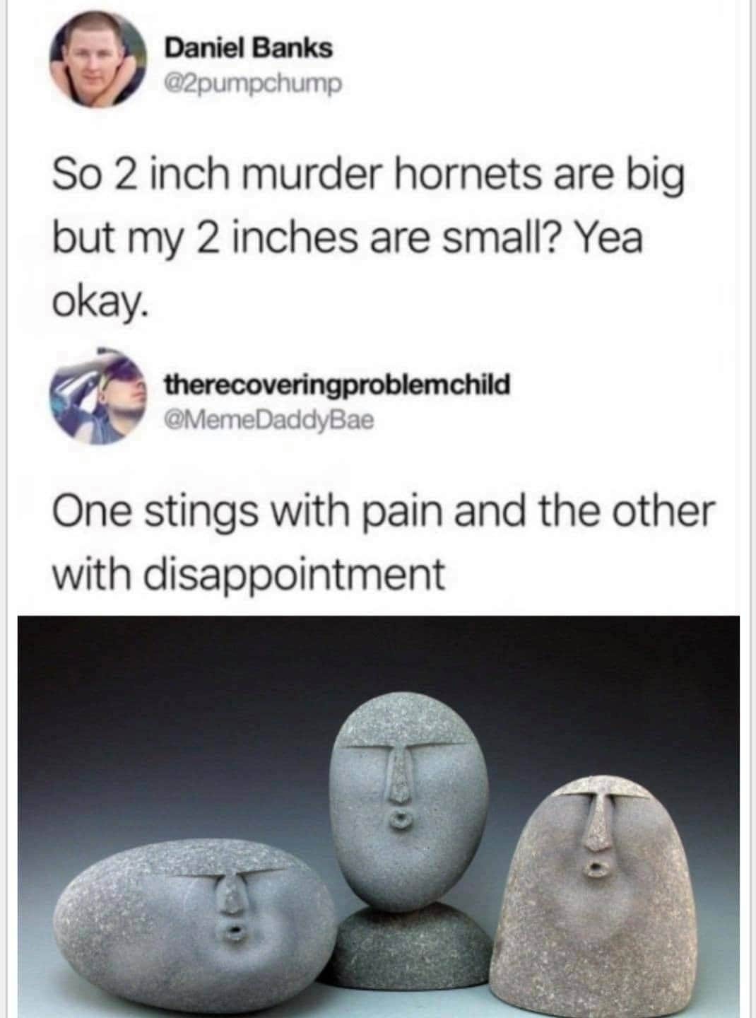 ooo rocks - Daniel Banks So 2 inch murder hornets are big but my 2 inches are small? Yea okay. therecoveringproblemchild One stings with pain and the other with disappointment