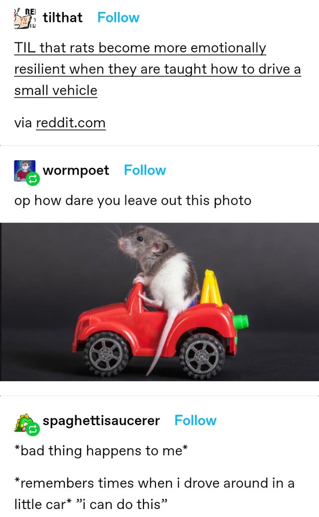 vehicle - Kre tilthat Til that rats become more emotionally resilient when they are taught how to drive a small vehicle via reddit.com wormpoet op how dare you leave out this photo spaghettisaucerer bad thing happens to me remembers times when i drove aro