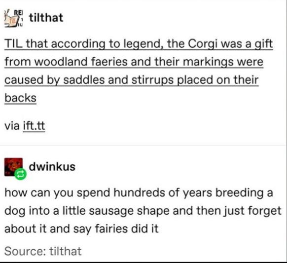 document - Rei tilthat Til that according to legend, the Corgi was a gift from woodland faeries and their markings were caused by saddles and stirrups placed on their backs via ift.tt dwinkus how can you spend hundreds of years breeding a dog into a littl