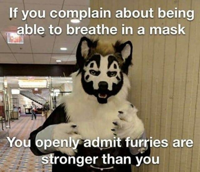 violent j furry costume - If you complain about being able to breathe in a mask You openly admit furries are stronger than you