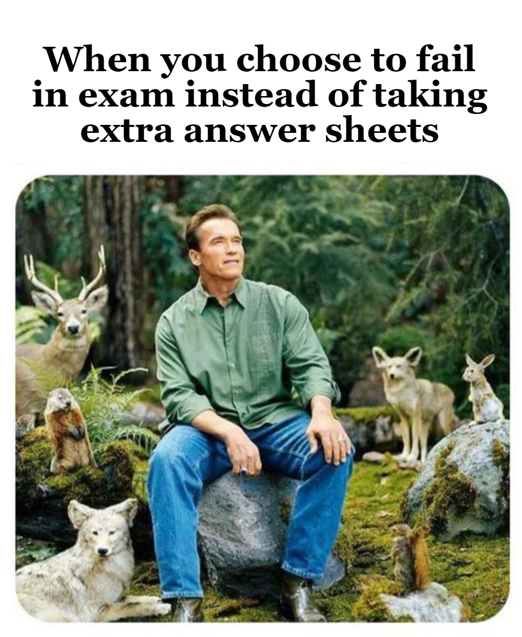 im ecologist meme - When you choose to fail in exam instead of taking extra answer sheets