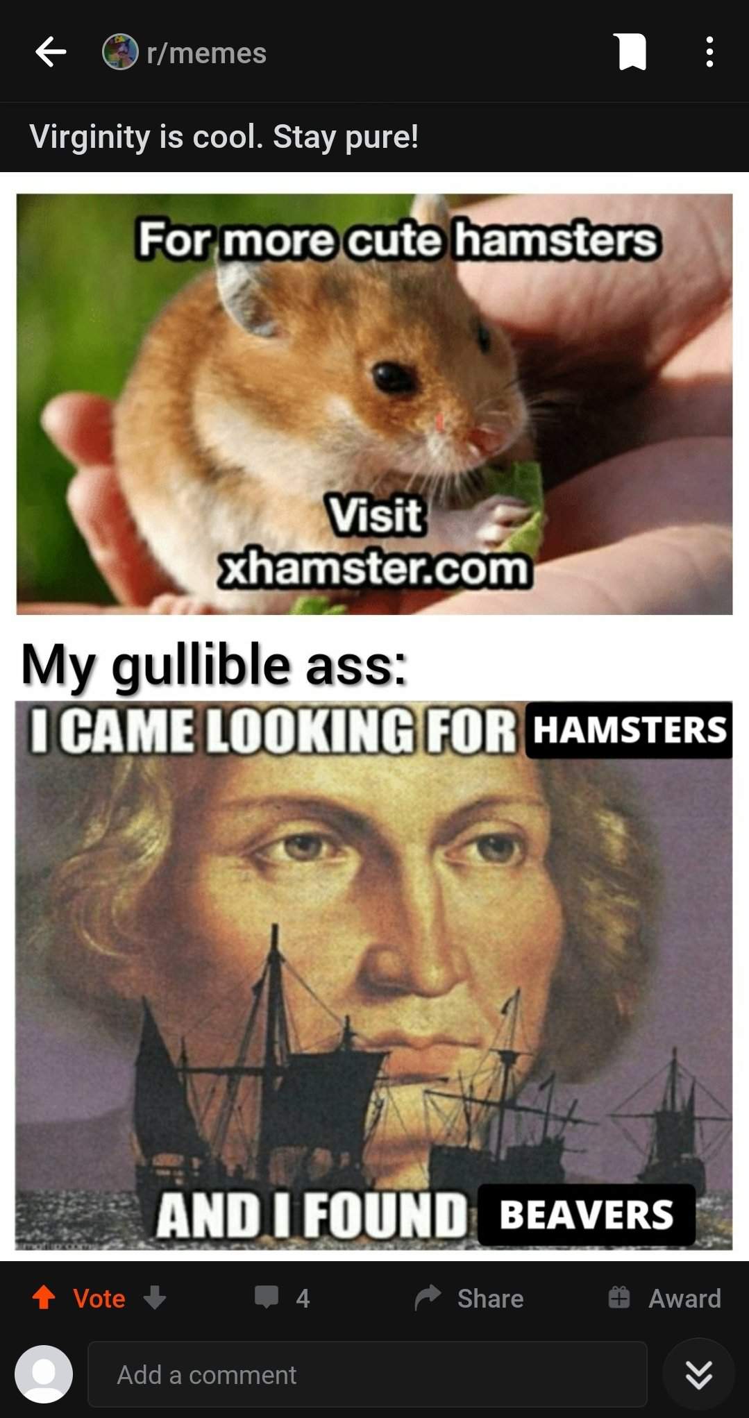 photo caption - rmemes Virginity is cool. Stay pure! For more cute hamsters Visit xhamster.com My gullible ass I Came Looking For Hamsters And I Found Beavers Vote 4 Award Add a comment