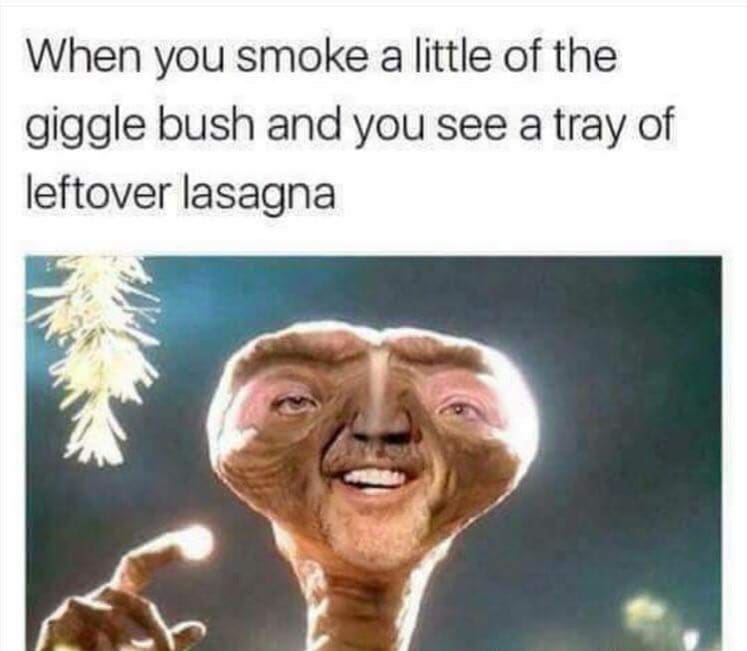 giggle bush meme - When you smoke a little of the giggle bush and you see a tray of leftover lasagna