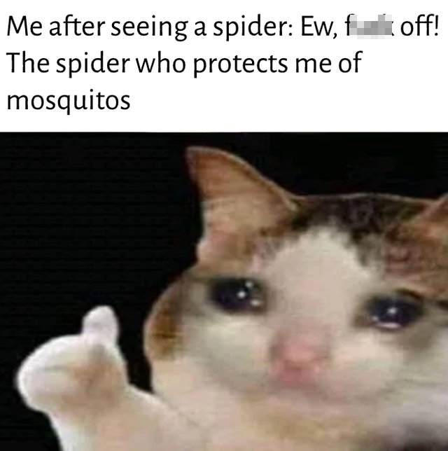 khush rehna uske sath meme - Me after seeing a spider Ew, fui off! The spider who protects me of mosquitos