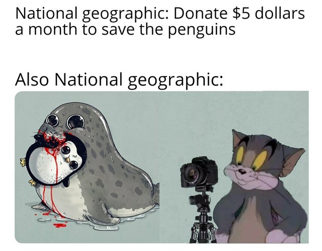 National geographic Donate $5 dollars a month to save the penguins Also National geographic