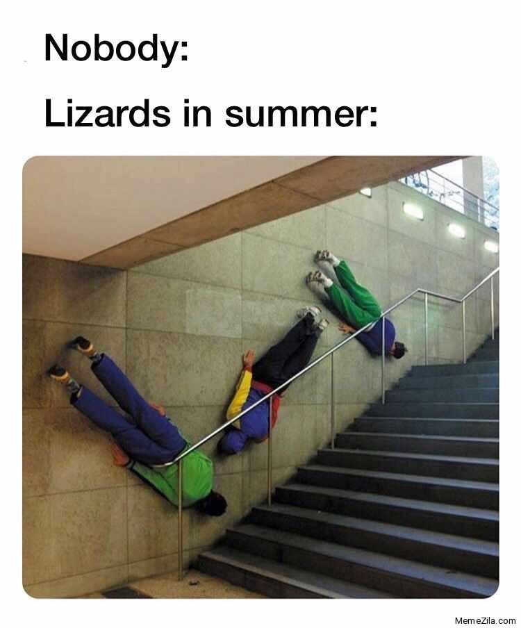 edibles hit - Nobody Lizards in summer MemeZilla, com
