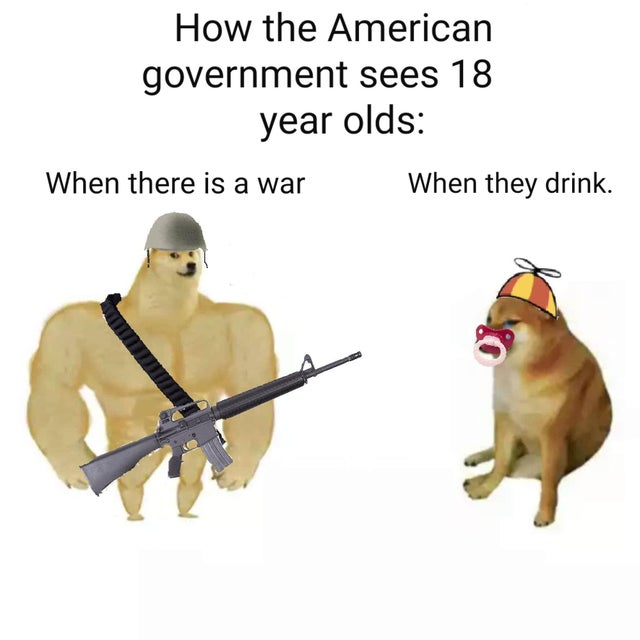 swole doge vs cheems joke - How the American government sees 18 year olds When there is a war When they drink.
