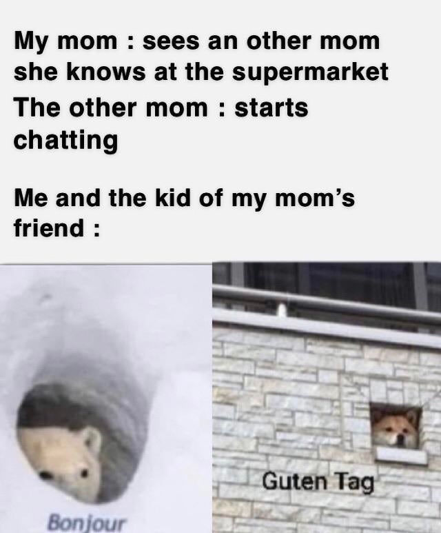 Internet meme - My mom sees an other mom she knows at the supermarket The other mom starts chatting Me and the kid of my mom's friend Guten Tag Bonjour