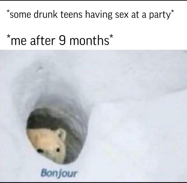 bonjour polar bear meme - some drunk teens having sex at a party me after 9 months Bonjour