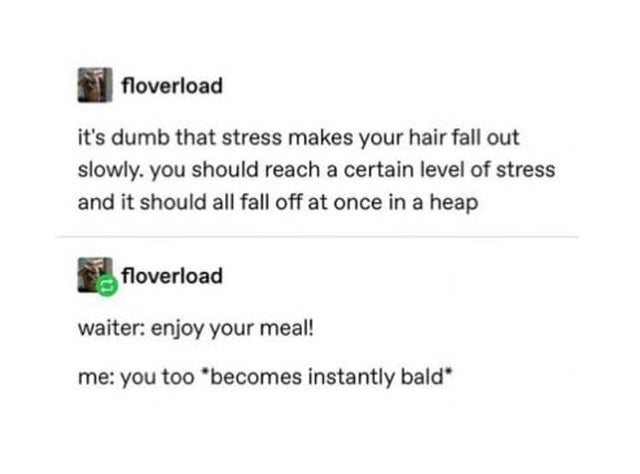 document - floverload it's dumb that stress makes your hair fall out slowly. you should reach a certain level of stress and it should all fall off at once in a heap floverload waiter enjoy your meal! me you too becomes instantly bald