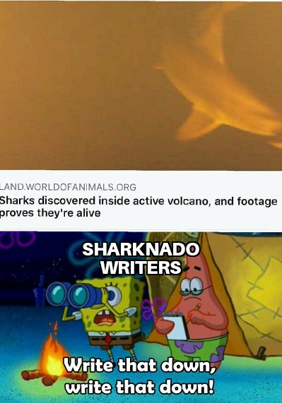 2020 write that down meme - Land.Worldofanimals.Org Sharks discovered inside active volcano, and footage proves they're alive Sharknado Writers Write that down, write that down!