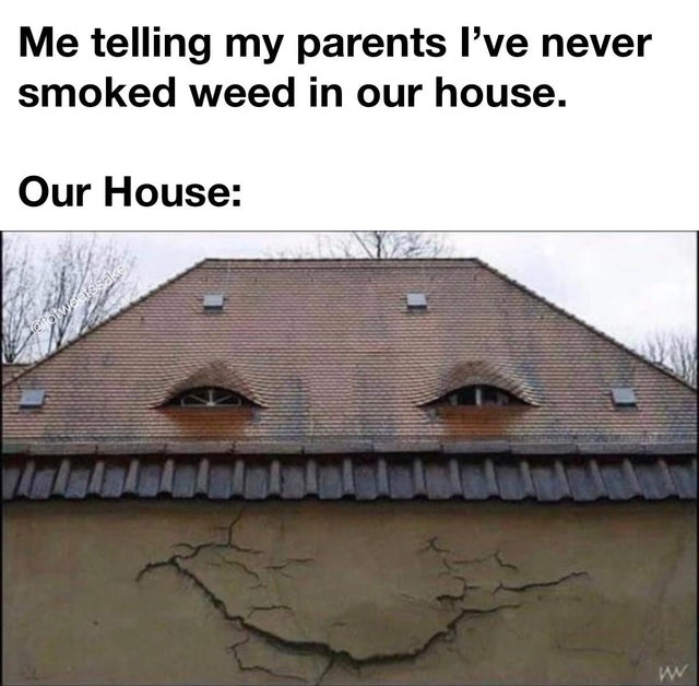 2020 is a bad year meme - Me telling my parents I've never smoked weed in our house. Our House serotweare sake w