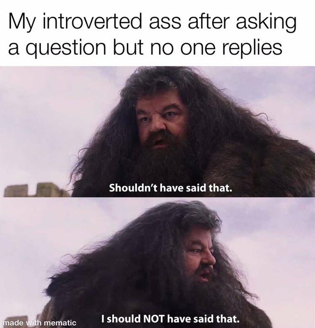 should not have said that meme - My introverted ass after asking a question but no one replies Shouldn't have said that. made with mematic I should Not have said that.