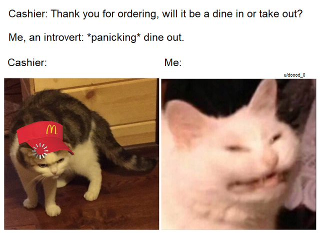 cat loading meme - Cashier Thank you for ordering, will it be a dine in or take out? Me, an introvert panicking dine out. Cashier Me uldoood_0 m