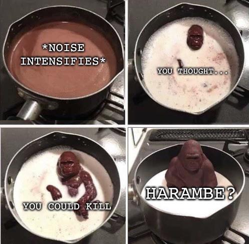 dish - Noise Intensifies You Thought.O. V. Harambe? You Could Kill