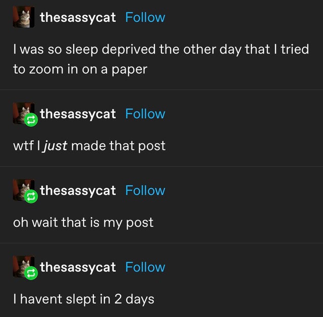 screenshot - thesassycat I was so sleep deprived the other day that I tried to zoom in on a paper thesassycat wtf I just made that post thesassycat oh wait that is my post thesassycat I havent slept in 2 days