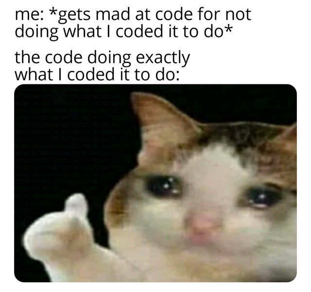 me gets mad at code for not doing what I coded it to do the code doing exactly what I coded it to do