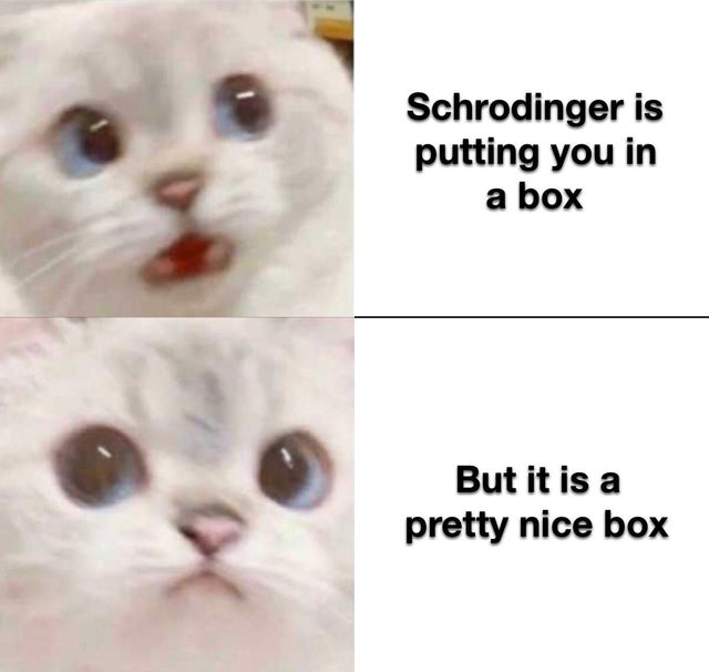 you finally manage to beat the boss - Schrodinger is putting you in a box But it is a pretty nice box