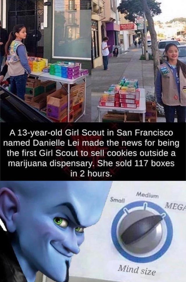 megamind memes - A 13yearold Girl Scout in San Francisco named Danielle Lei made the news for being the first Girl Scout to sell cookies outside a marijuana dispensary. She sold 117 boxes in 2 hours. Medium Small Mega Mind size