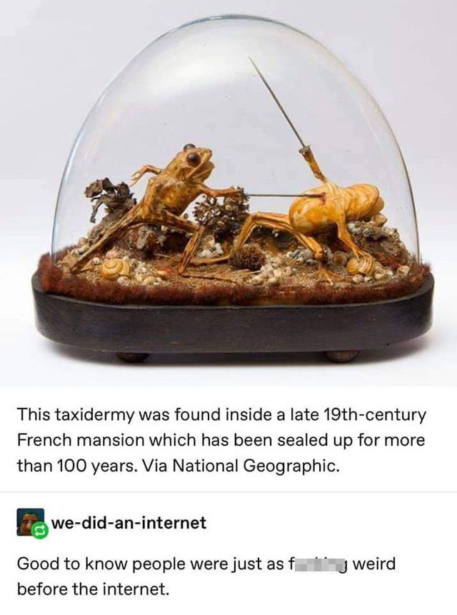 frog sword fight taxidermy - This taxidermy was found inside a late 19thcentury French mansion which has been sealed up for more than 100 years. Via National Geographic. wedidaninternet weird Good to know people were just asf before the internet.