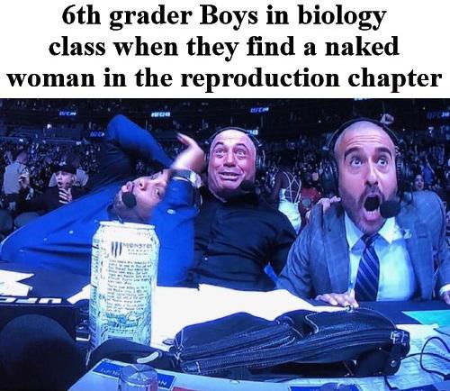 joe rogan daniel cormier jon anik - 6th grader Boys in biology class when they find a naked woman in the reproduction chapter S.