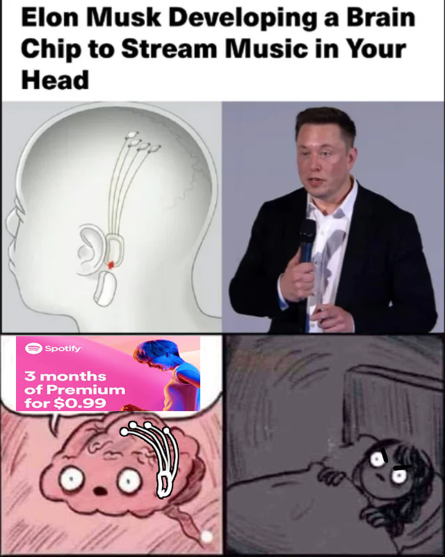 Elon Musk Developing a Brain Chip to Stream Music in Your Head Spotify 3 months of Premium for $0.99