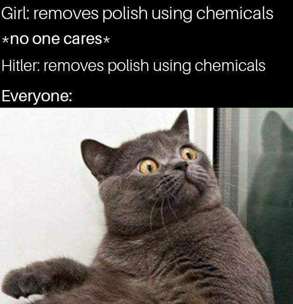 no wifi meme - Girl removes polish using chemicals no one cares Hitler removes polish using chemicals Everyone
