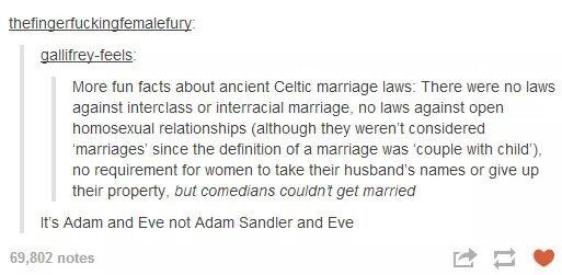 document - thefingerfuckingfemalefury gallifreyfeels More fun facts about ancient Celtic marriage laws There were no laws against interclass or interracial marriage, no laws against open homosexual relationships although they weren't considered marriages'