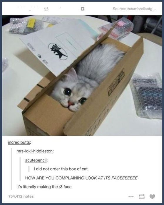 box of cat - 11 Source theumbrellaofg... incredibutts mrslokihiddleston acutepencil I did not order this box of cat. How Are You Complaining Look At Its Faceeeeeee it's literally making the 3 face 754,412 notes 11