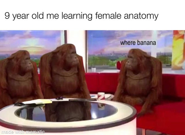 banana meme - 9 year old me learning female anatomy where banana made with mematic