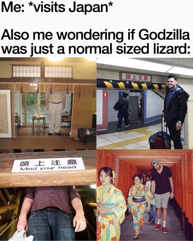 Me visits Japan Also me wondering if Godzilla was just a normal sized lizard Mind your head