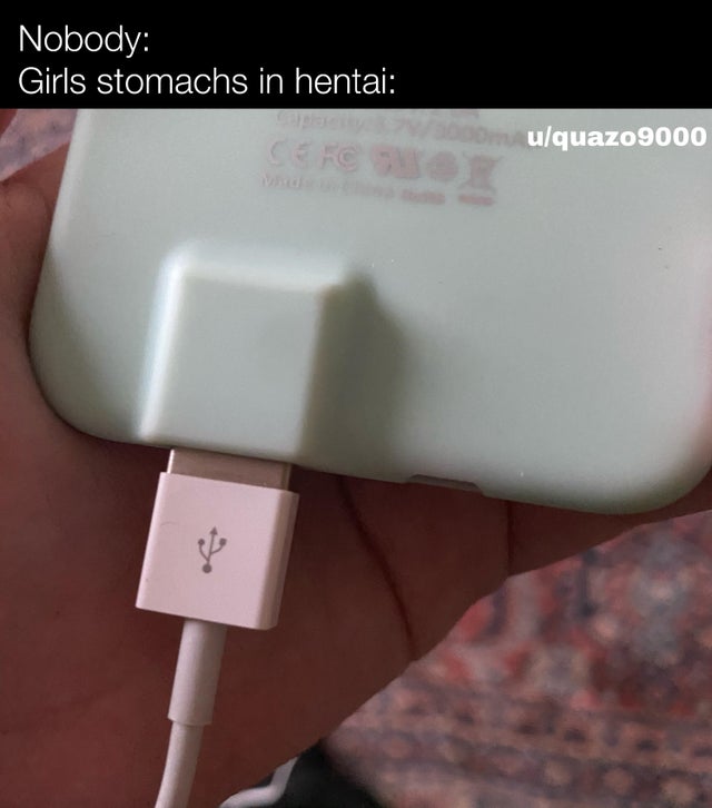 Internet meme - Nobody Girls stomachs in hentai Cercowe uquazo9000