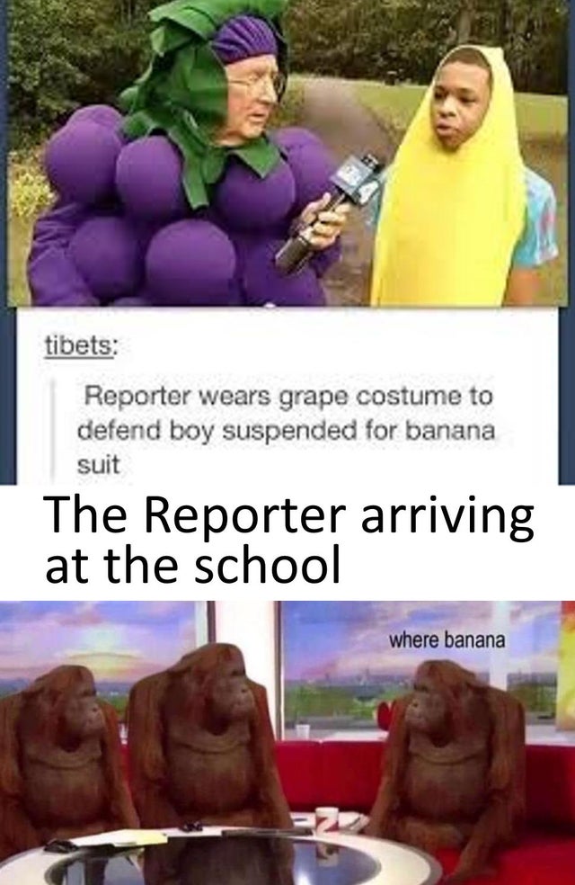 banana meme - tibets Reporter wears grape costume to defend boy suspended for banana suit The Reporter arriving at the school where banana