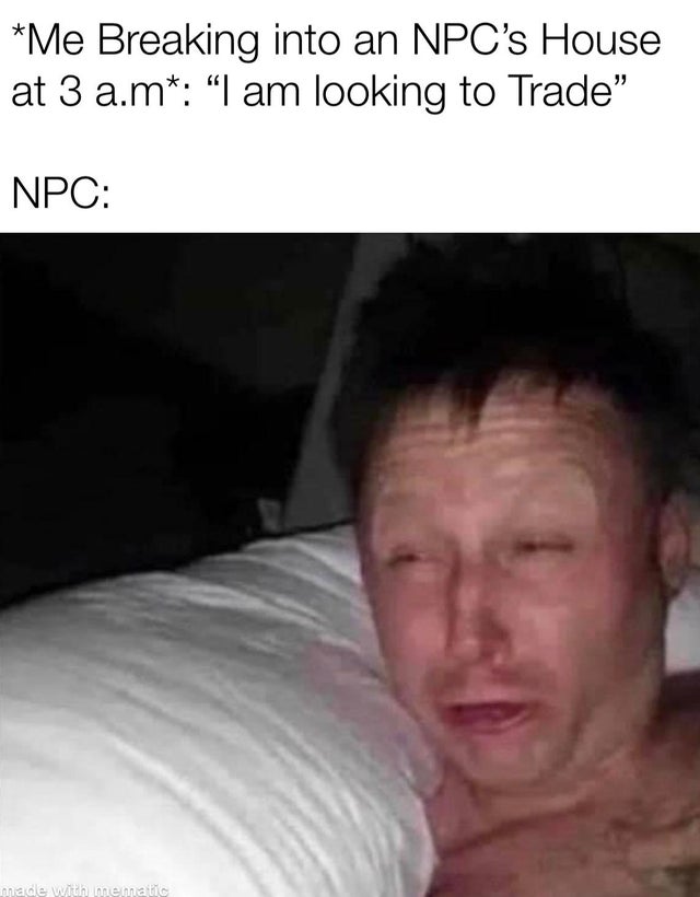 limmy waking up meme - Me Breaking into an Npc's House at 3 a.m I am looking to Trade" Npc made with mematic