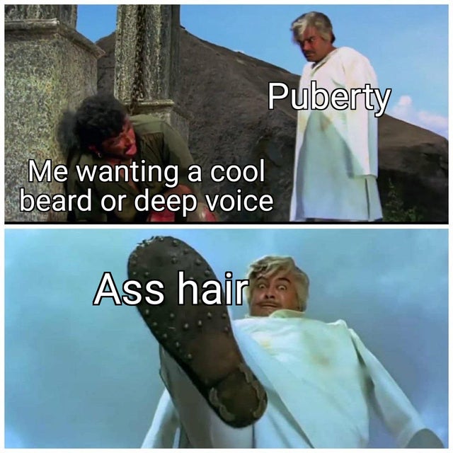 new meme template - Puberty Me wanting a cool beard or deep voice Ass hair