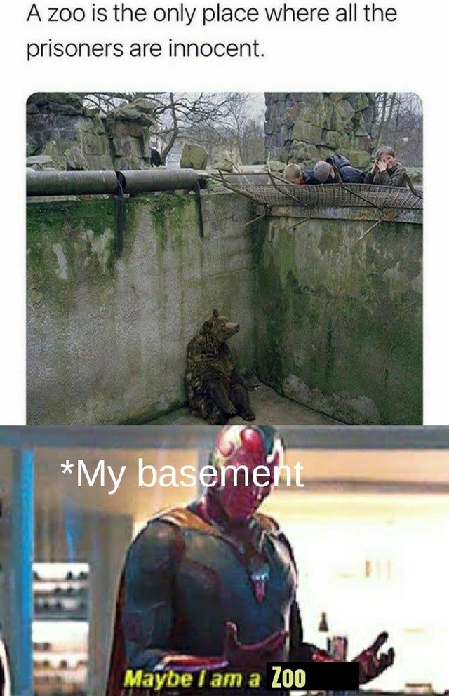 maybe i am a monster meme template - A zoo is the only place where all the prisoners are innocent. My basement Maybe I am a Zoo