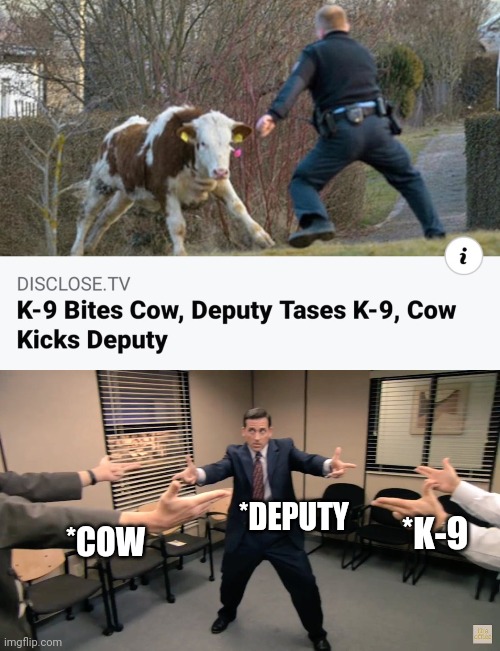 mexican standoff meme - i Disclose.Tv K9 Bites Cow, Deputy Tases K9, Cow Kicks Deputy Deputy Cow K9 Ta imgflip.com