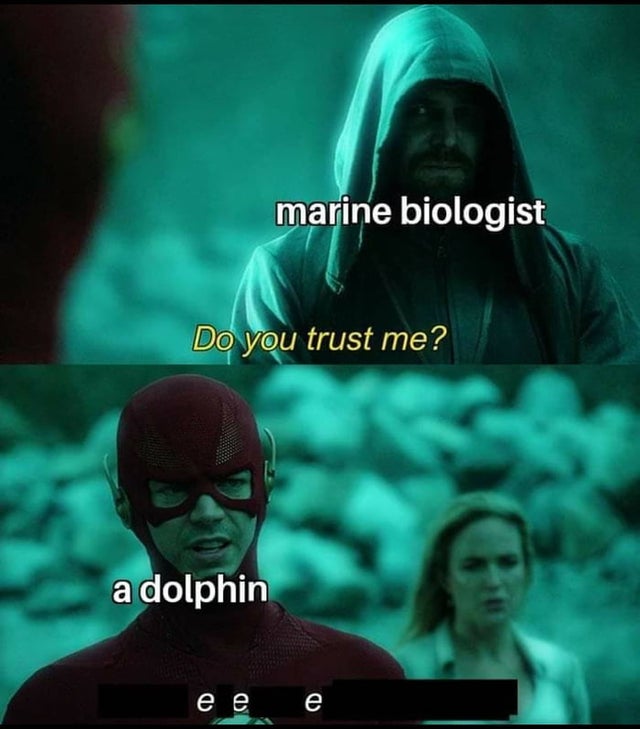 do you trust me flash meme template - marine biologist Do you trust me? a dolphin e e e