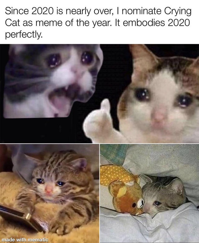 Since 2020 is nearly over, I nominate Crying Cat as meme of the year. It embodies 2020 perfectly. made with mematic