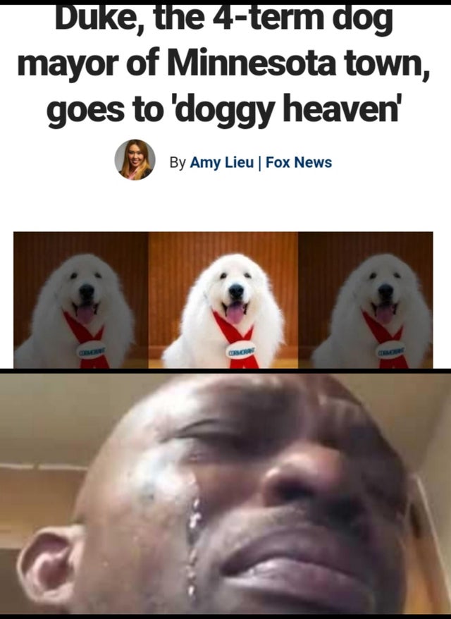 long does trash live meme fortnite - Duke, the 4term dog mayor of Minnesota town, goes to 'doggy heaven' By Amy Lieu | Fox News
