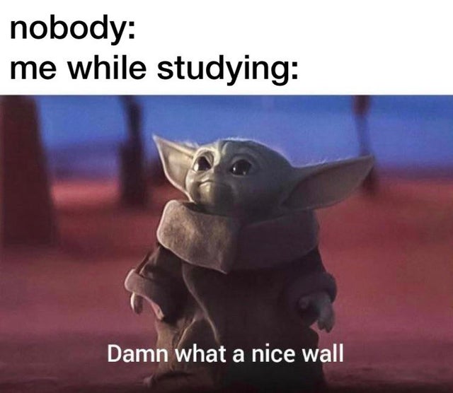 me patiently waiting baby yoda meme - nobody me while studying Damn what a nice wall