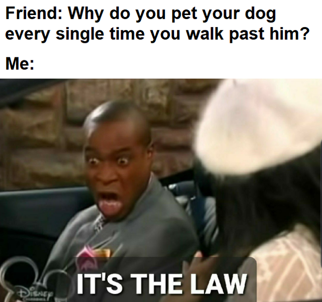 it's the law meme - Friend Why do you pet your dog every single time you walk past him? Me It'S The Law Disney