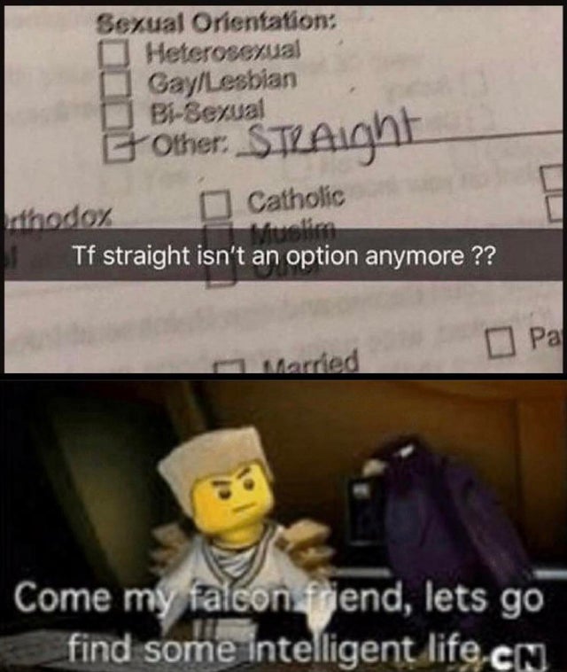 photo caption - Sexual Orientation Heterosexual GayLesbian BiSexual Et other. Straight kthodox Catholic Muelim Tf straight isn't an option anymore ?? Pal Married Come my falcon friend, lets go find some intelligent life.Cn