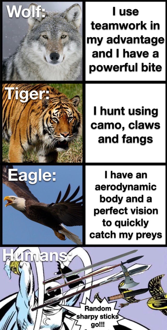 tiger - Wolf I use teamwork in my advantage and I have a powerful bite Tiger I hunt using camo, claws and fangs Eagle I have an aerodynamic body and a perfect vision to quickly catch my preys Humans Random sharpy sticks B. go!!!