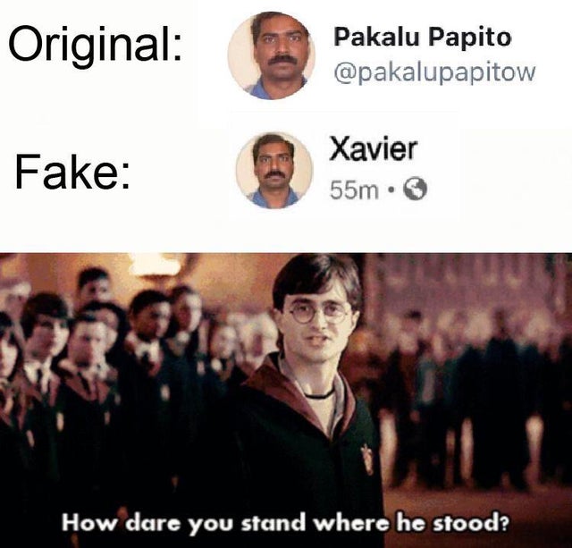 harry potter memes - Original Pakalu Papito Fake Xavier 55m. How dare you stand where he stood?