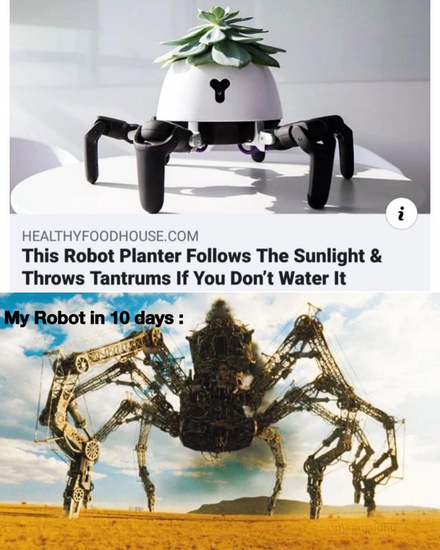 robot planter follows the sunlight and throws tantrums if you don t water it - i Healthyfoodhouse.Com This Robot Planter s The Sunlight & Throws Tantrums If You Don't Water It My Robot in 10 days karusidhu