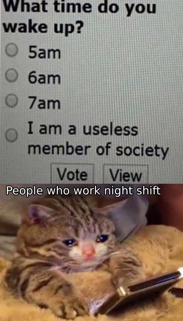 sad kitty meme - What time do you wake up? 05am 6am 0 7am I am a useless member of society Vote View People who work night shift