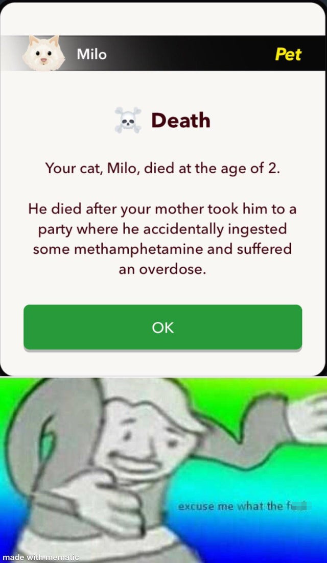 reducing agent meme - Milo Pet Death Your cat, Milo, died at the age of 2. He died after your mother took him to a party where he accidentally ingested some methamphetamine and suffered an overdose. Ok excuse me what the fu made with mematic